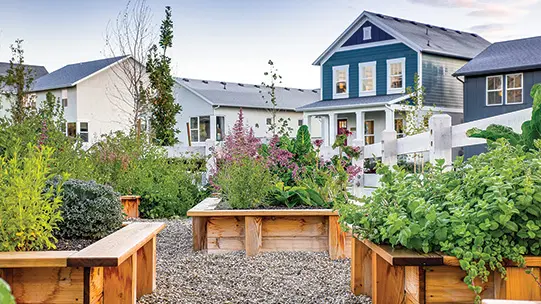 Community Garden Daybreak Utah